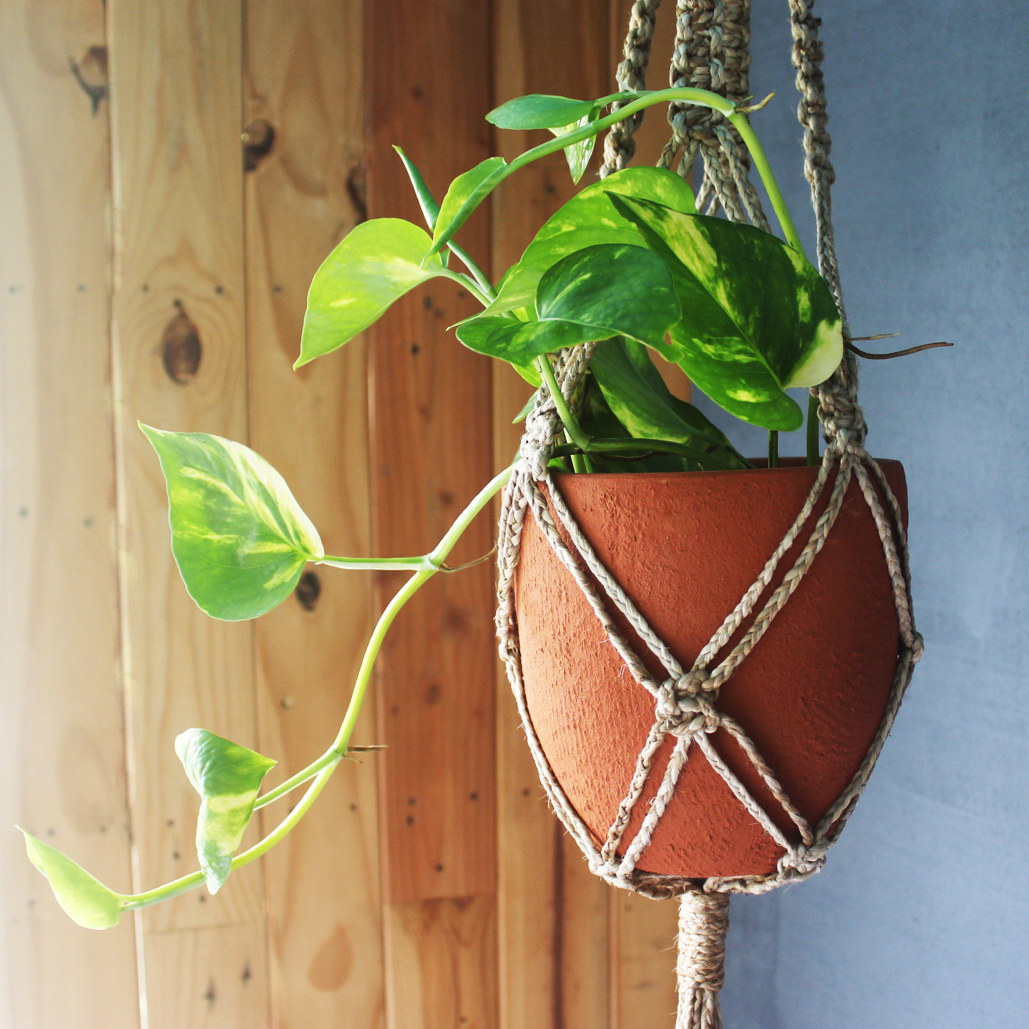 Classic Hanger | CraftLipi