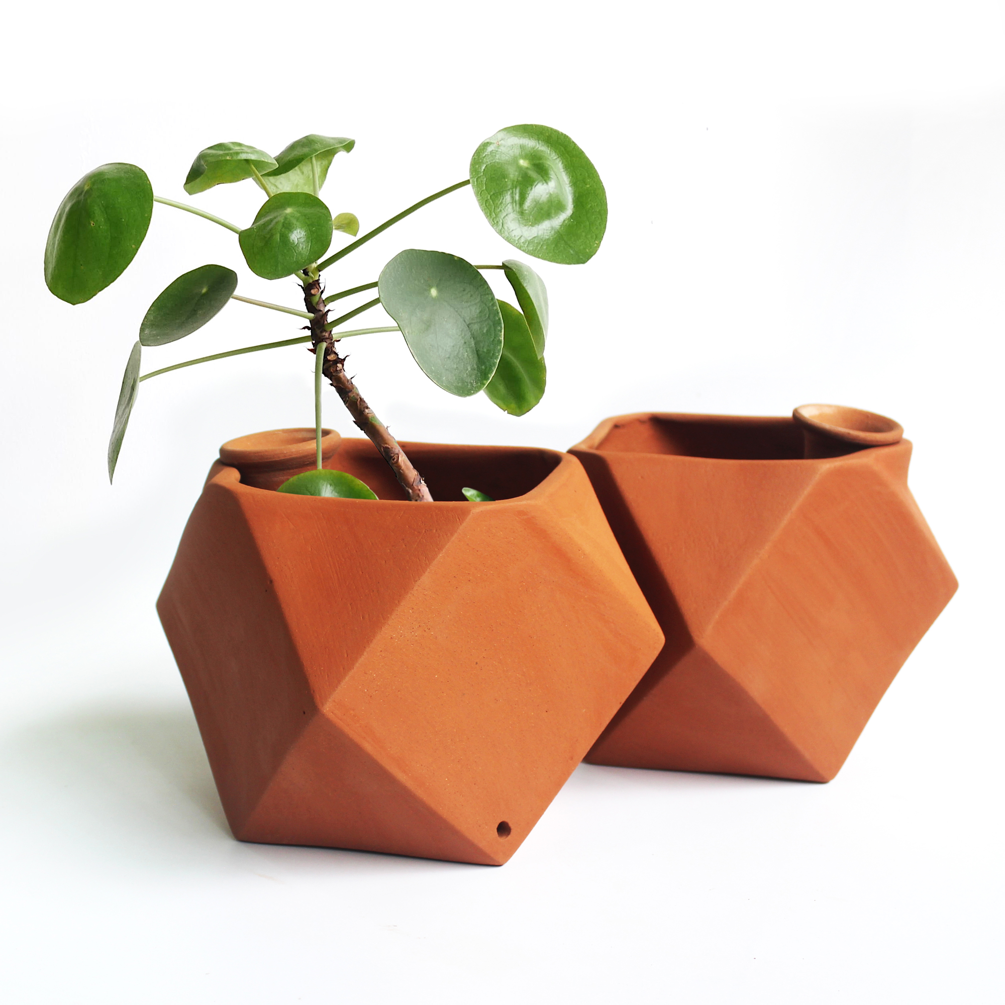 D’Mond 1 | CraftLipi