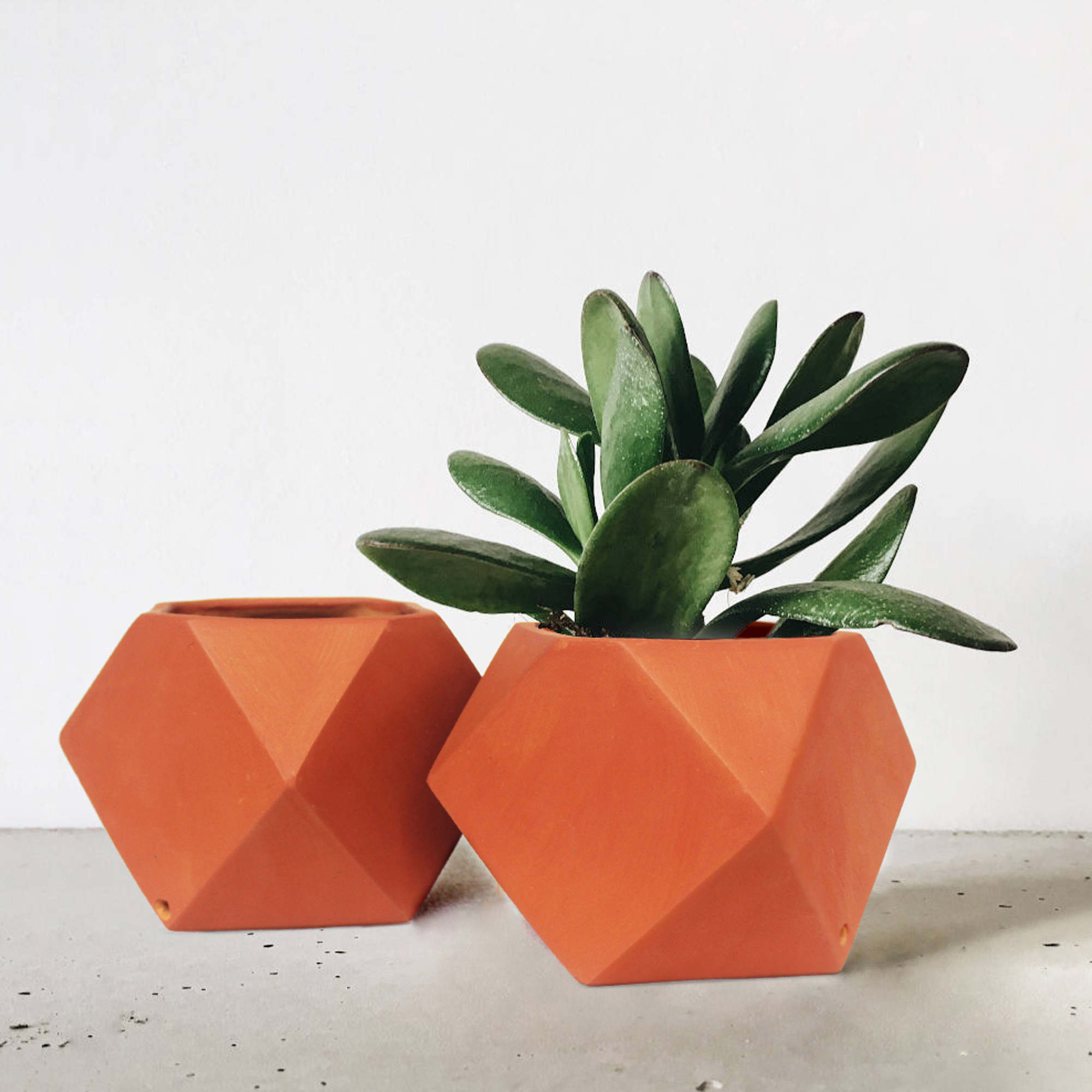 D’Mond 3 | CraftLipi