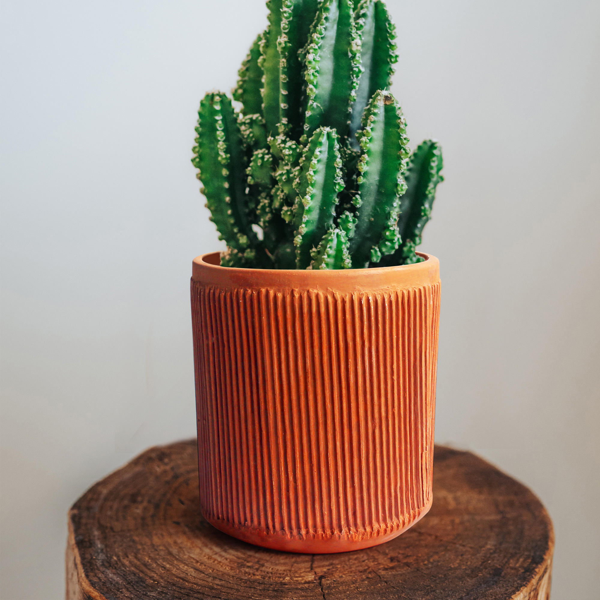 Pillow Planter | CraftLipi