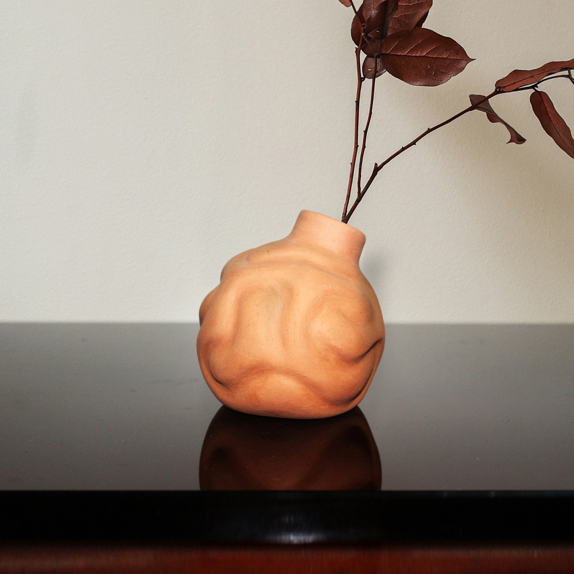Tilted Organic  | CraftLipi